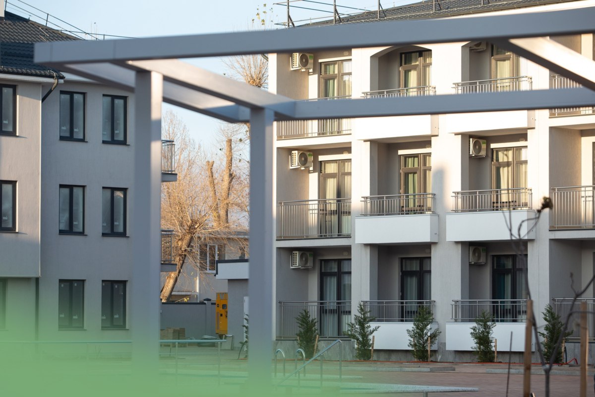 Стандарт — вид 2