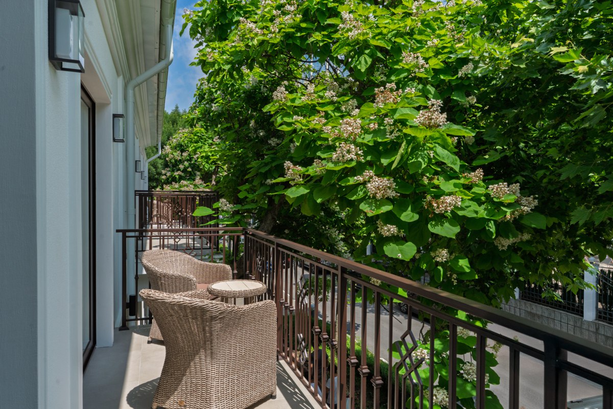 Стандарт — вид 2